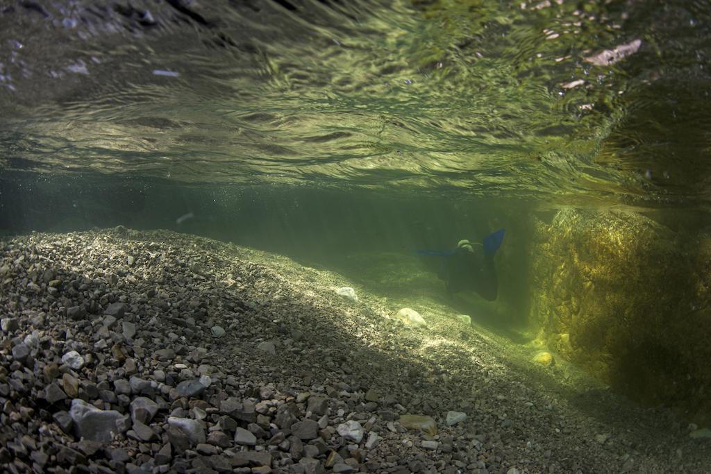 Gasthaus Pension Zur Nixe Steinbach am Attersee Exteriör bild